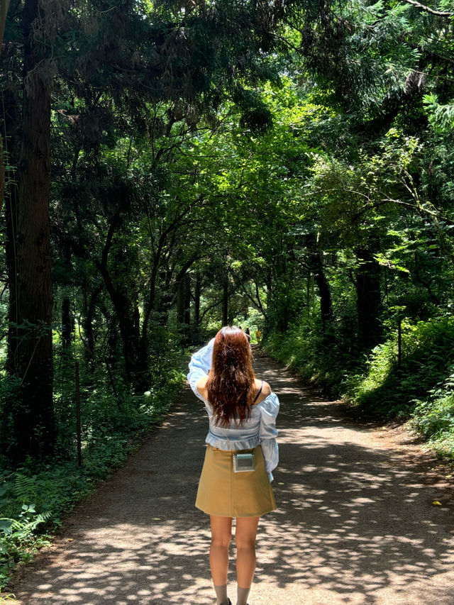 국내여행부터 시작해요 ✈️🏖️
