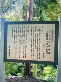 【長野県/岡谷　武田信玄側室”由布姫(湖衣姫)が療養していたお寺】
