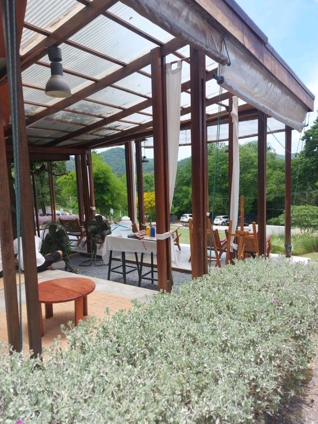 คาเฟ่สวยวิวเขา Wynn Cafe & Hill Club