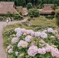 หมู่บ้านโบราณสุดน่ารักแห่งเมืองเกียวโต!🛖