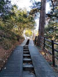 Matsushima: A Day Trip Paradise of Islands