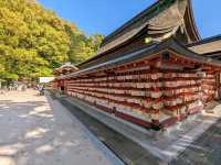 日本福岡-考生必來參拜的學問之神：太宰府天滿宮