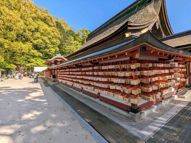 日本福岡-考生必來參拜的學問之神：太宰府天滿宮