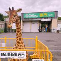 【北海道/旭川　動物達の行動を間近で見られる工夫を凝らした動物園】