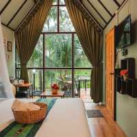 ⛰Chanya Forest Resort ... ช้างกลาง