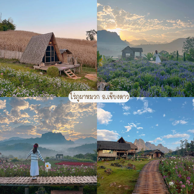 รวม 8 ที่พักเชียงใหม่สวยๆ 