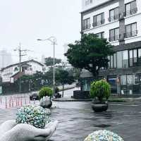 濟州島的大自然，水族館，瀑布 - 動靜皆宜之旅