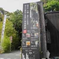 熱海避暑好去處🏖️ 來宮神社尋幽探秘