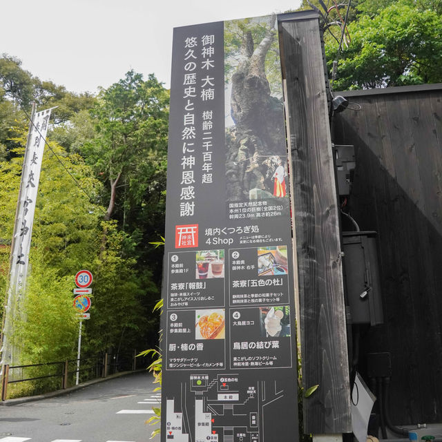 熱海避暑好去處🏖️ 來宮神社尋幽探秘