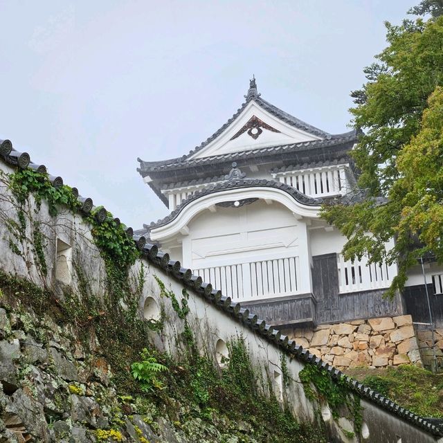 【岡山】備中松山城