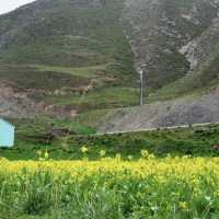 Wonderful Qinghai