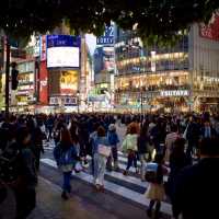 The most fascinating city