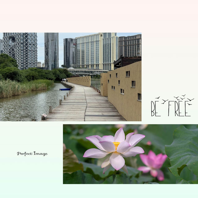 氹仔自然生態區觀景