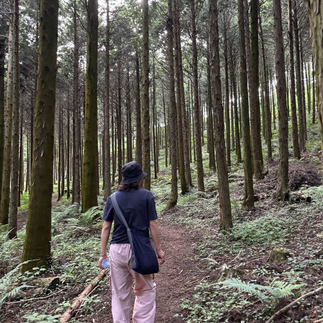 제주여행🏝️ 열네번째 오름, 꽃과 허브로 가득한 모구리오름🌿