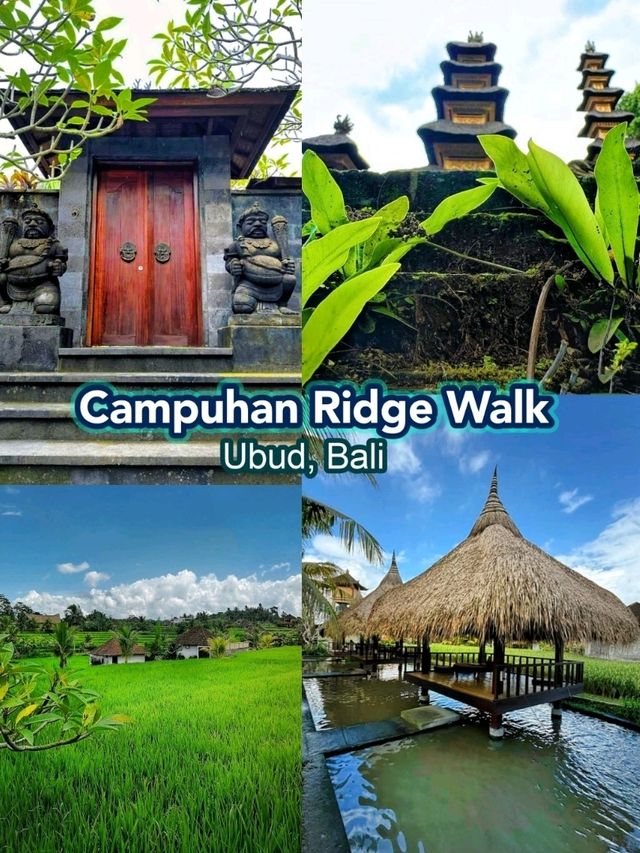 The Campuhan Ridge Walk, a nature escapade in Ubud, Bali