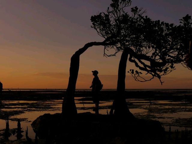 【スンバ島】ビーチにあるマングローブと夕陽が美しいビーチ