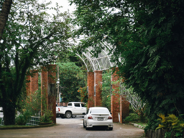 รีสอร์ทท่ามกลางธรรมชาติ 🏡