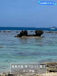 【奄美】大事に守られてきた海