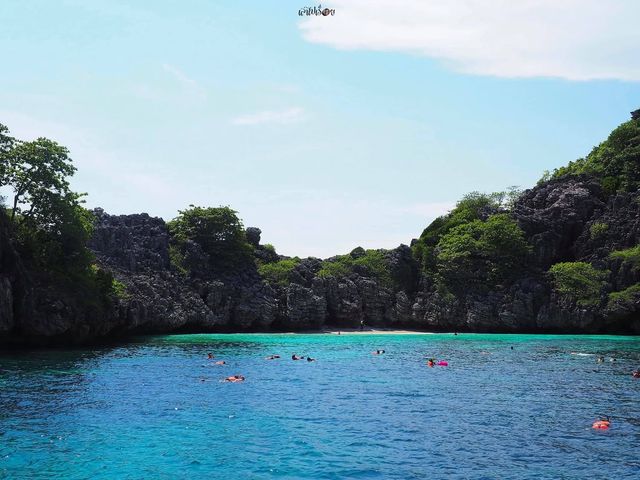 ดูน้ำทะเลใสๆ ที่เกาะรอก-เกาะห้า 