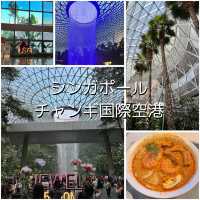 シンガポール旅行🇸🇬世界最高の空港！