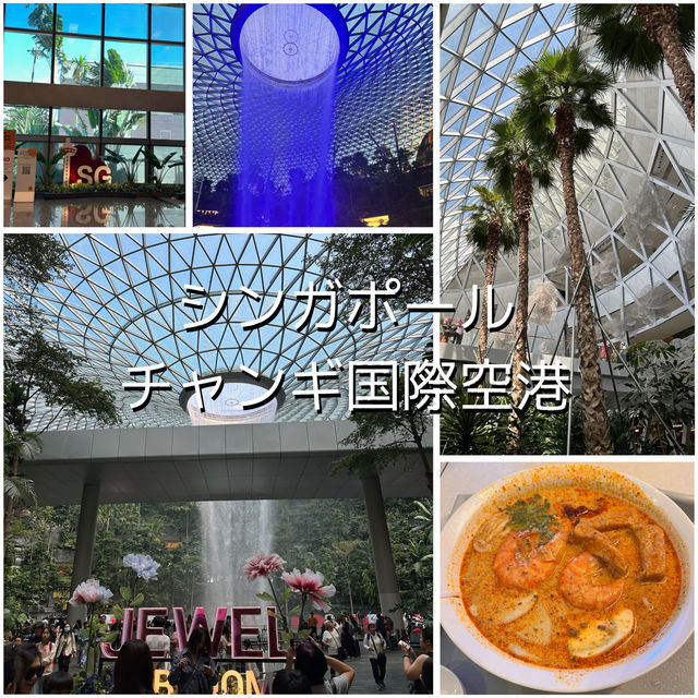 シンガポール旅行🇸🇬世界最高の空港！