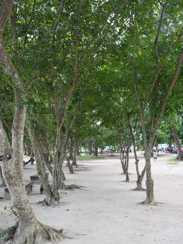 😄 หาดนพรัตน์ธารา