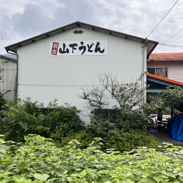 香川うどん食べ歩き4選✨