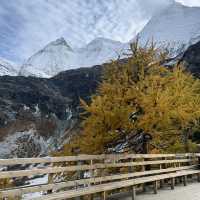 ⌊ Yading Nature Reserve, Daocheng, Sichuan, China⌉