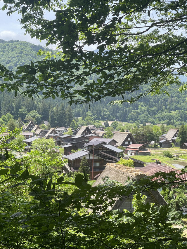 白川鄉村落文化x世界遺產