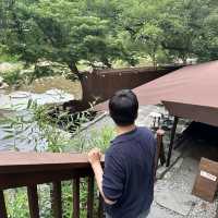 서울 근교 계곡 맛집 용인 고기리유원지💦
