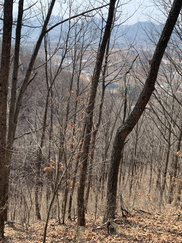 모노레일바이크 탑승하고 올라가는 비봉산 정상