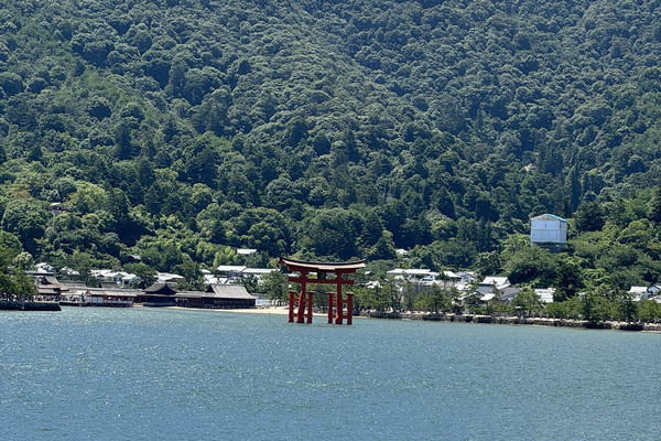 宮島 自然と建築美が調和する神の島 宮島（厳島）｜向日葵オンライン