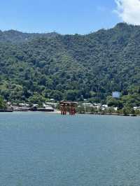 広島の顔！夏の宮島をエンジョイ！