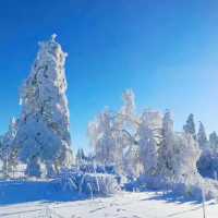 Snow Valley 雪谷( ตั้งอยู่ในเขต Wuchang) 