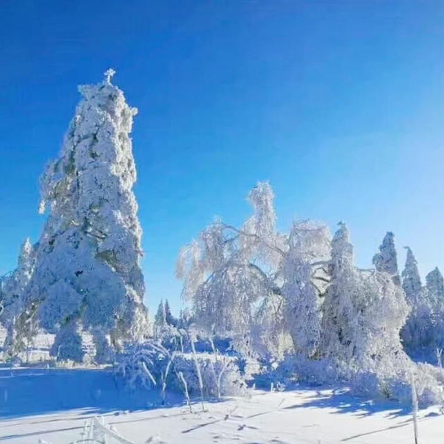 Snow Valley 雪谷( ตั้งอยู่ในเขต Wuchang) 