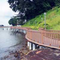 Stroll Through 🇸🇬Changi Point Coastal Walk and Garden