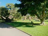 Royal Botanic Garden Sydney