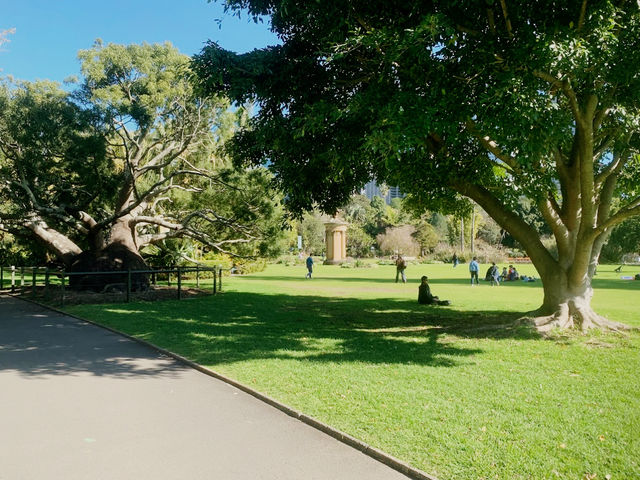 Royal Botanic Garden Sydney
