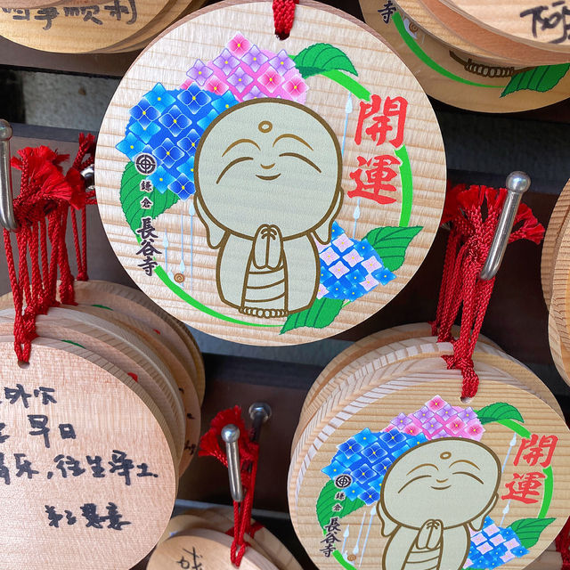 東京旅遊🍀鎌倉一日遊！長谷寺繡球花之旅