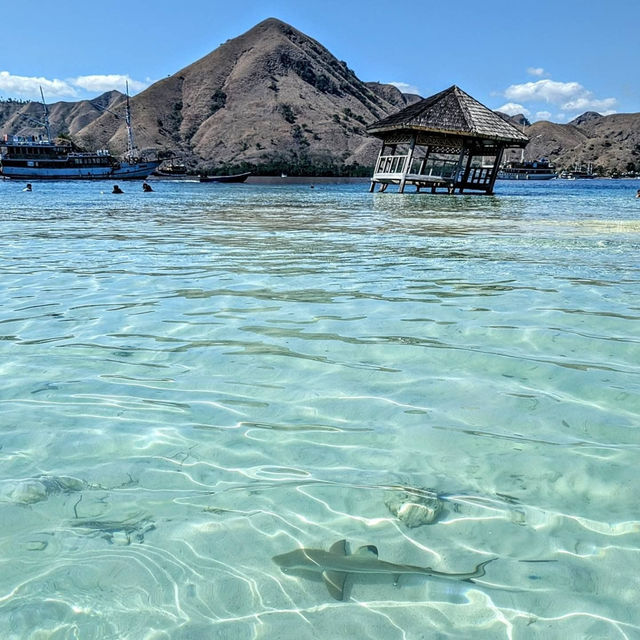 Paradise Found: Kelor Island's Hidden Charm