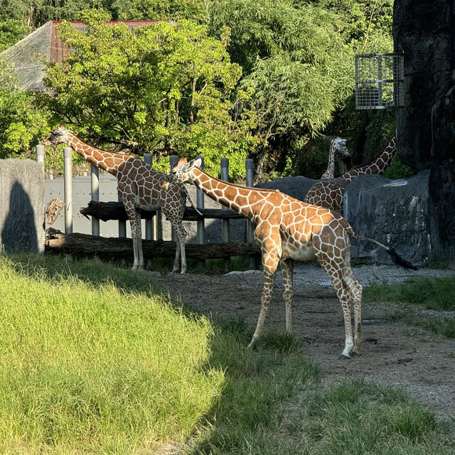 台北市立動物園