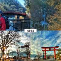 Japan Trip 🇯🇵