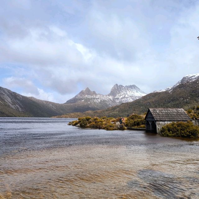 Tasmania Cradle mountain 