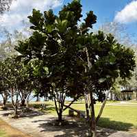"Nature's Retreat: A Review of Pantai Cahaya Negeri"