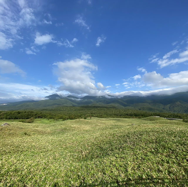 【北海道】熊にも会えるかも？知床の大自然を満喫できる公園とは