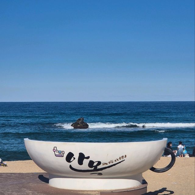 강릉 안목 카페거리