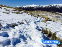 📍紐西蘭南島。尼爾森湖｜絕美賞雪步道