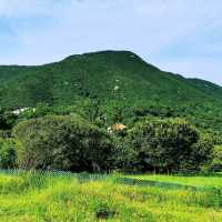 大坑墩清水灣郊野公園
