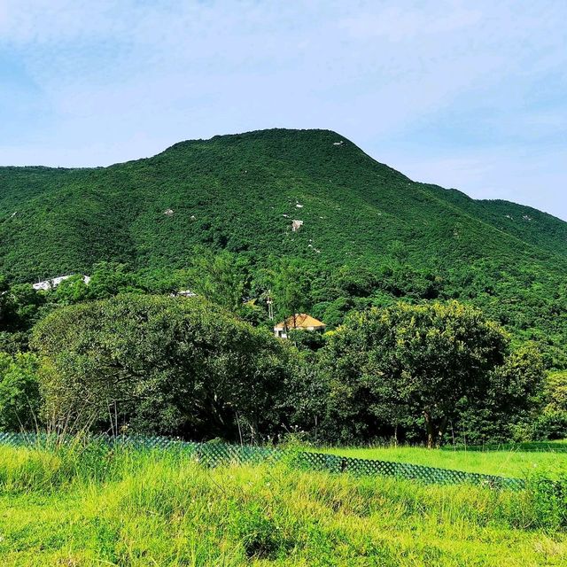 大坑墩清水灣郊野公園