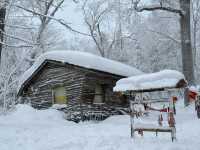 被雪包圍的地方·雪鄉十裡冰雪畫廊